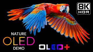 BEST OLED DEMO - Unreal Radiant Paradise in 8K HDR | Dolby Vision™