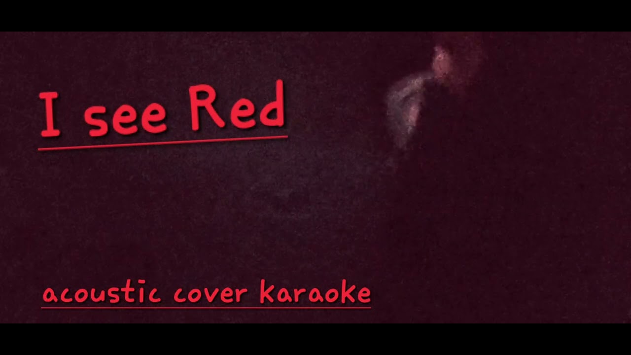 I see red karaoke version of everybody loves an outlaw youtube