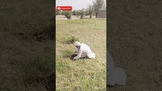 Gr By Hands Skills In Village