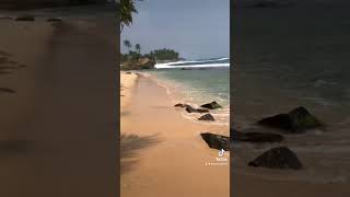 Дикий пляж. Шри Ланка