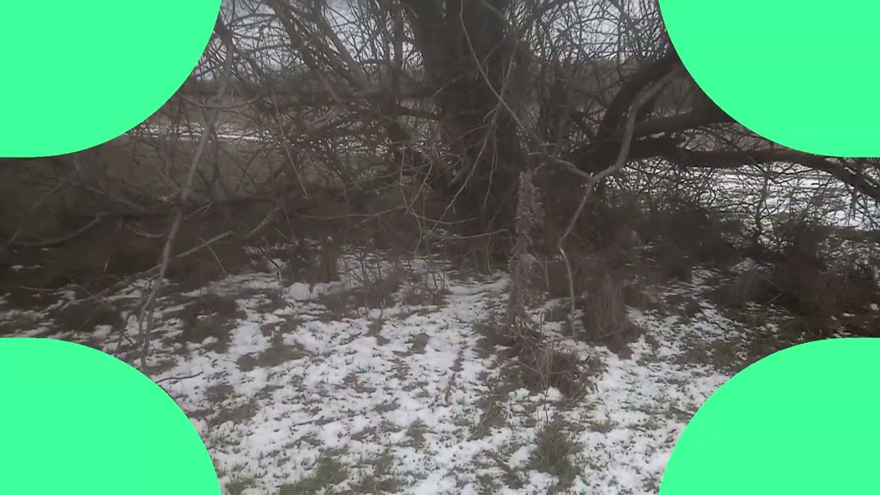 Река Кумшак. 19. 2. 26.