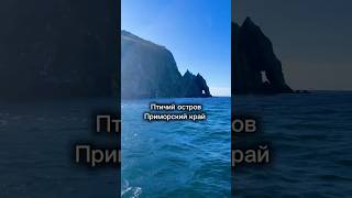 Птичий остров #приморскийкрай #владивосток #мирвокруг #travel #природныепейзажи #природа