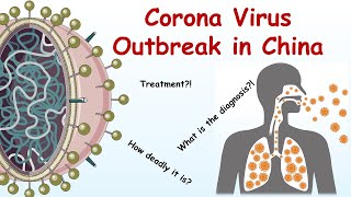 Corona Virus outbreak: what you can do?