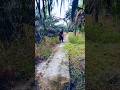 potong rumput jalan ke makam part 2