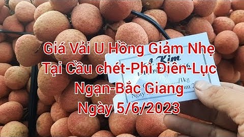 Giá Vải U Hồng Chiều Hướng Giảm Ngày 5/6/2023Vietnam Lychee