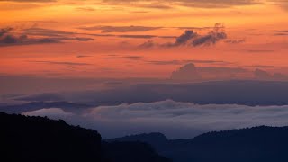 Nfy - ยงคงดอย Remix