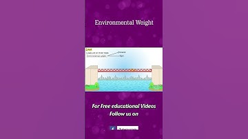 Bridge | Bridge Load | Environmental Weight | Bridges Types | Types of Bridge Load | Science #shorts