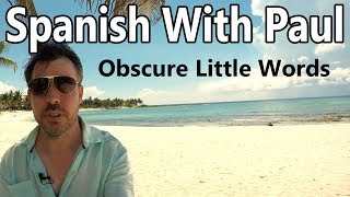 Obscure Little Words - Spanish With Paul