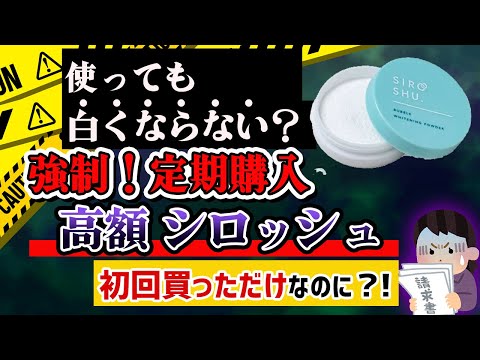 シロッシュ 3箱 シロッシュ3箱