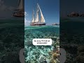 Mükemmel Kalitede Videolar Üreten Ücretsiz Yapay Zeka