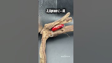 Mồi câu cá Chẽm, câu cá Lóc,Chày,Măng CC60 micro siêu nhạy cá #lure #fishing #fishingvideo