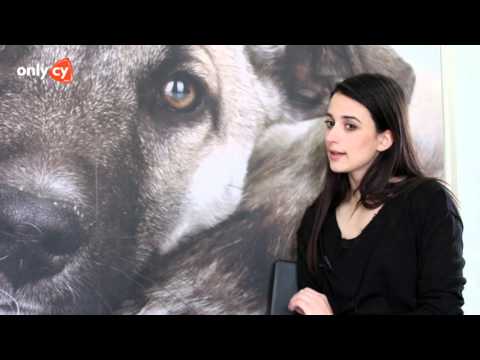 Βίντεο: Τι είναι η ασφάλιση κατοικίδιων ζώων