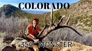 Colorado Elk Hunt - 3rd Season 2021 - Trevor’s Huge 7x7 Bull