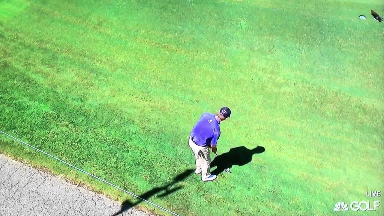 David Toms Beautiful Pitch Shot (8/20/15) YouTube