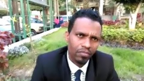 القارئ محمد جمال محمد مقلد الشريم يتلو سورة  عبس