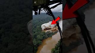 nesli tükenildiği iddia edilen hayvanlar#viral #keşfet