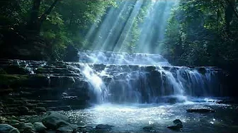 Relaxing Forest Reflections : Crystal Waters & Mindfulness Music For Inner Peace, Healing & Solitude