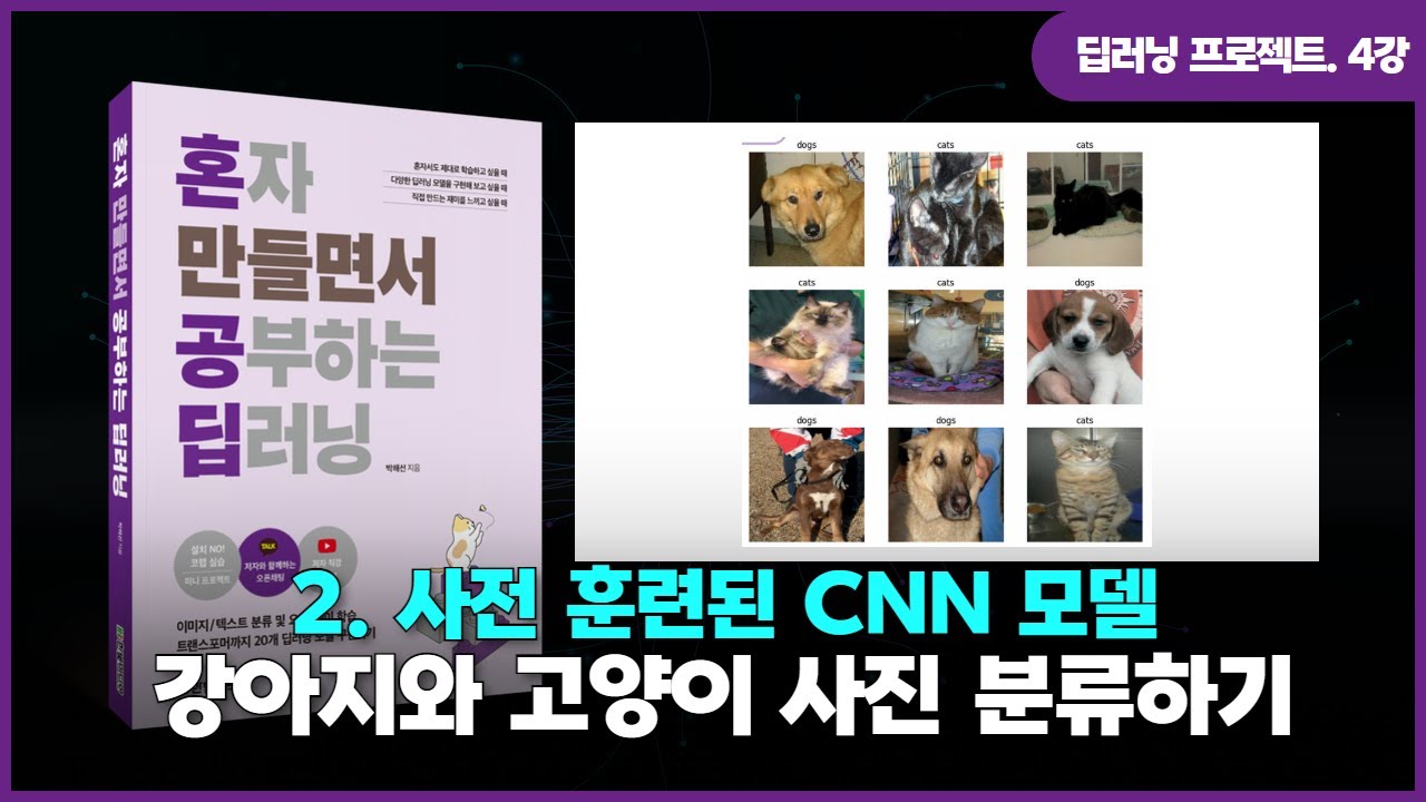 [딥러닝 프로젝트] 4강. 사전 훈련된 CNN 모델 | ②강아지와 고양이 사진 분류하기 - YouTube