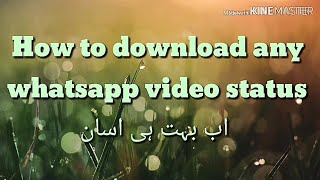How to download WhatsApp status photo & video || WhatsApp status download || Download WhatsApp statu screenshot 2