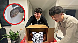 FUNNIEST! What’s In The Box Challange 😝 Vlog #49