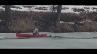 Canadian Man Rescues Deer From Icy River in British Columbia