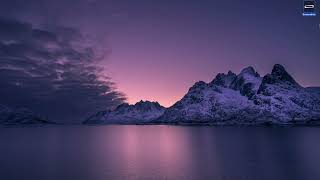 Python Quadratic Equation Solver