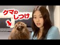 【BLACKPINK】 ジェニーと16分間一緒に過ごす動画【作業用】