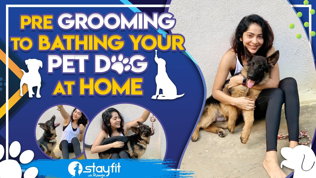 Pre Grooming To Bathing Your Pet Dog At Home Ramya YouTube
