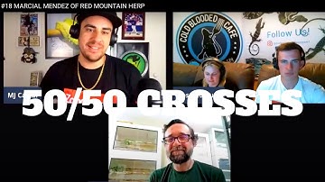 THROWBACK THURSDAY HIGHLIGHT | MARCIAL MENDEZ | 50/50 CROSSING NORTHERN BASIN EMERALD TREE BOA