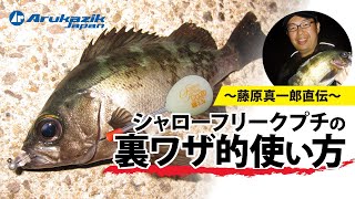 【メバリング】爆釣!堤防メバリング!!～藤原真一郎直伝・シャローフリークプチの裏技的使い方～【アジング】