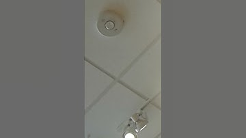 EST Edwards Genisies Horn Strobe at the Mall