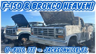 Junkyard Gold - OBS FORD EDITION Bullnose Bricknose Aeronose F-150s & Broncos