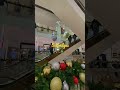#selfridges #london #christmasinlondon