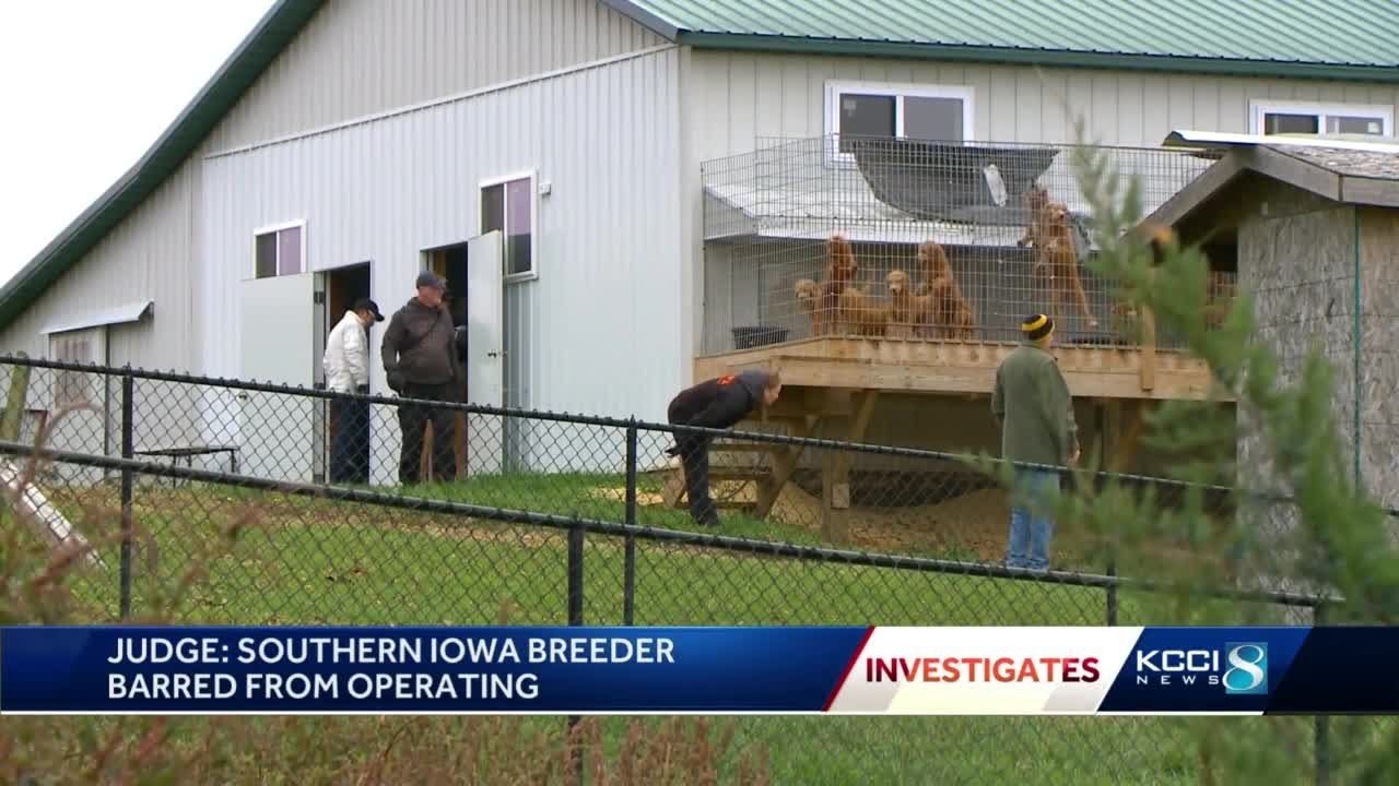Judge bars Iowa dog breeder from selling, breeding or brokering dogs