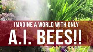 Pollinating Bees A.I. Version #saveourbees #pollinatingbees
