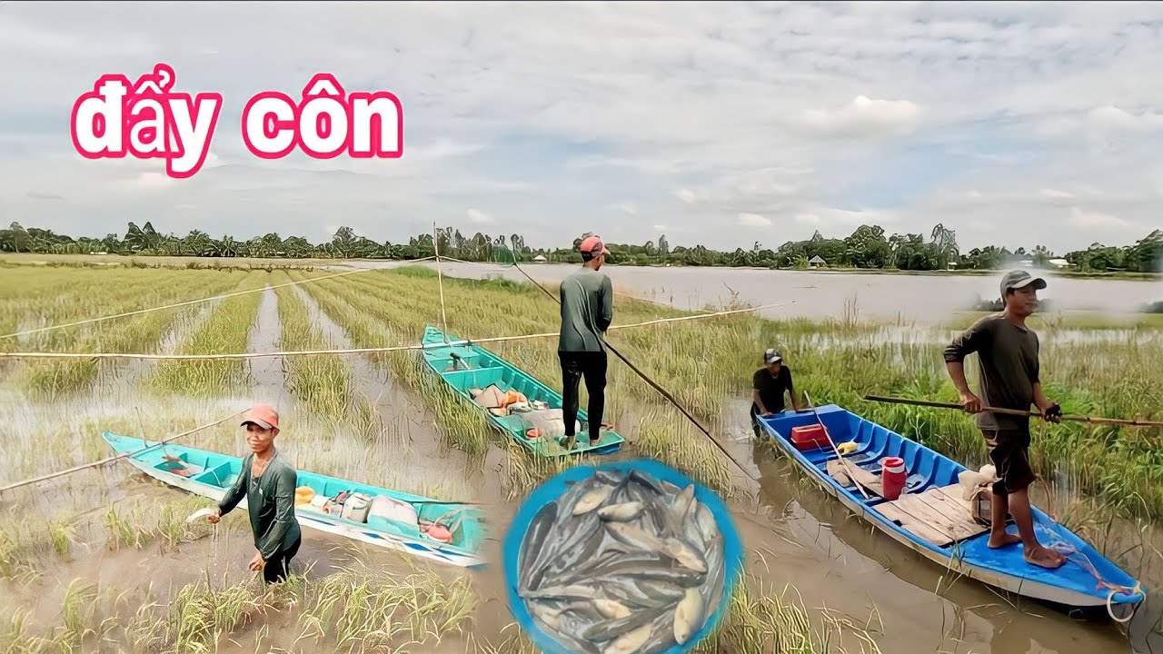 trải nghiệm đẩy côn bằng xịt lạnh mùa nước lũ về cá thấy mê,, kênh Htgc tập 57,