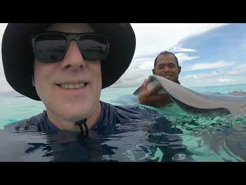 Snorkeling, Stingrays and Starfish | Cayman Islands