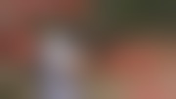 Franklin Armory Trigger Binary Firing System: Second Look...Almost Perfect !