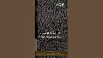ما تيسر من سورة البقرة | تلاوة فضيلة الشيخ د.#الوليد_الشمسان