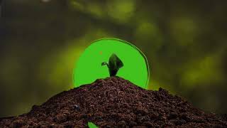 Composting: So Much More Than an Apple Core