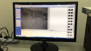 Digital microscope - software for Filter Partocle Counting screenshot 4