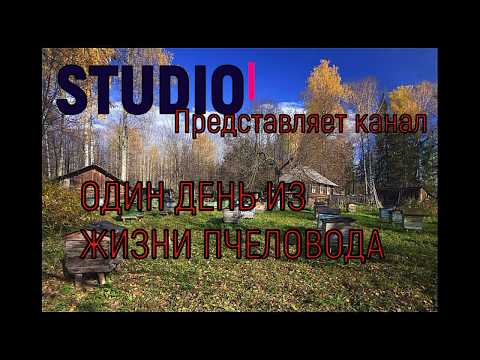 Как сохранить суш, от моли