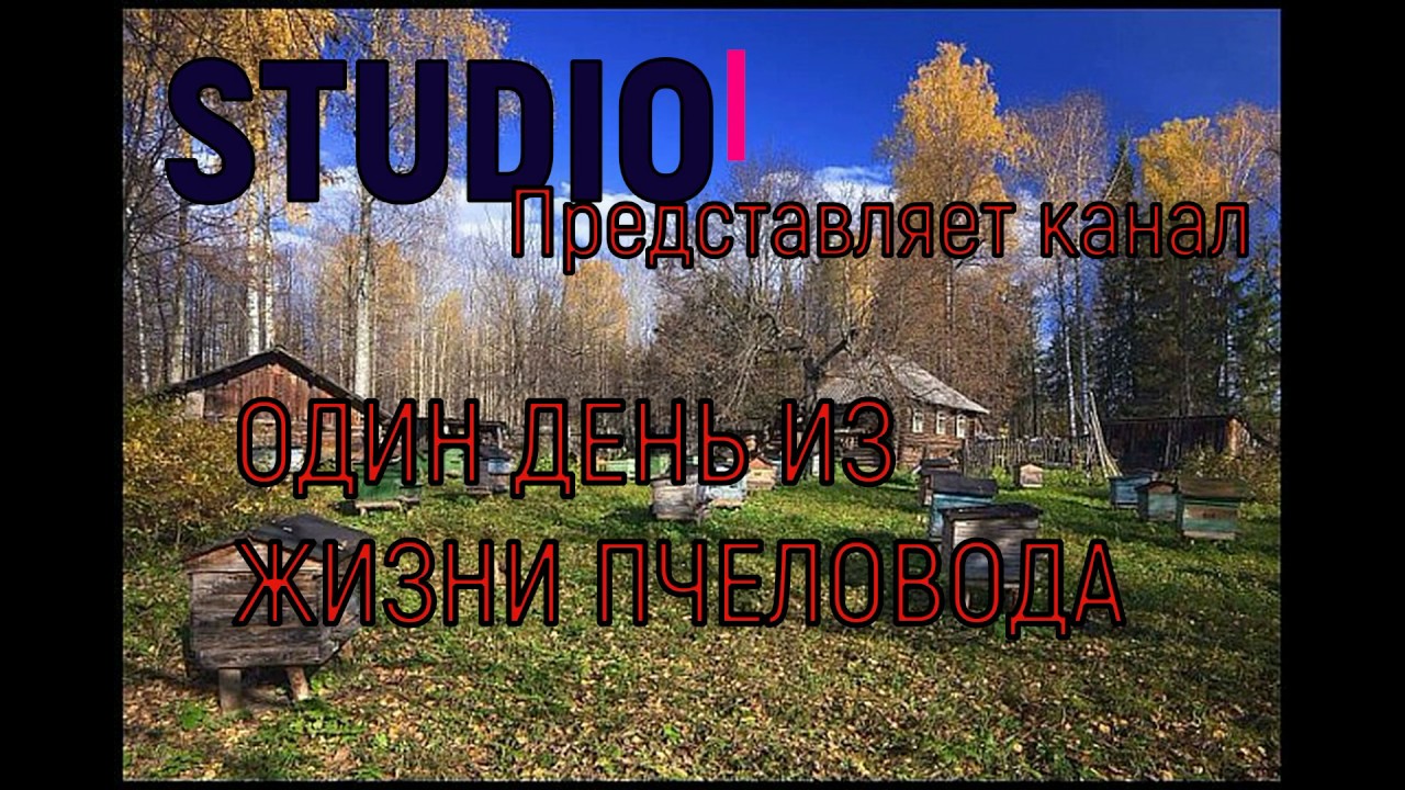 Как сохранить суш, от моли