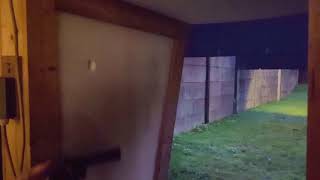 Celebrity Colt python slow motion Net Worth