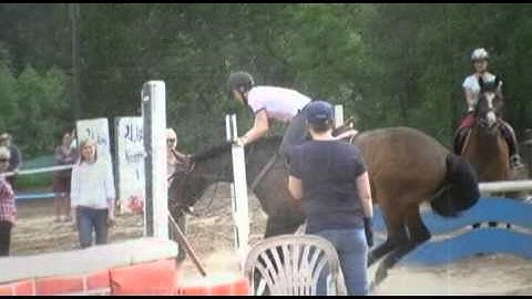 тhɛ ɑ тɛɑm ►