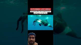 Celebrity Scary video after captive orca grabs trainer #killerwhale​#whale​ #orca​ #cuteanimals​#animalshorts​ Profile