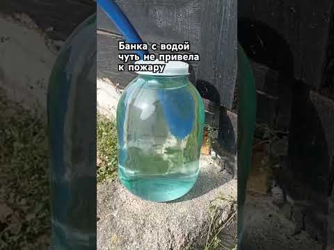 Оставленная на солнце