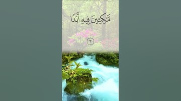 قال ﷺ: من قرأ سورة الكهف فى يوم الجمعة أضاء له من النور ما بين جمعتين