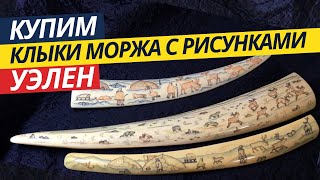 Клыки моржа с рисунками Уэлен | Обзор | Особенности | История (2020)