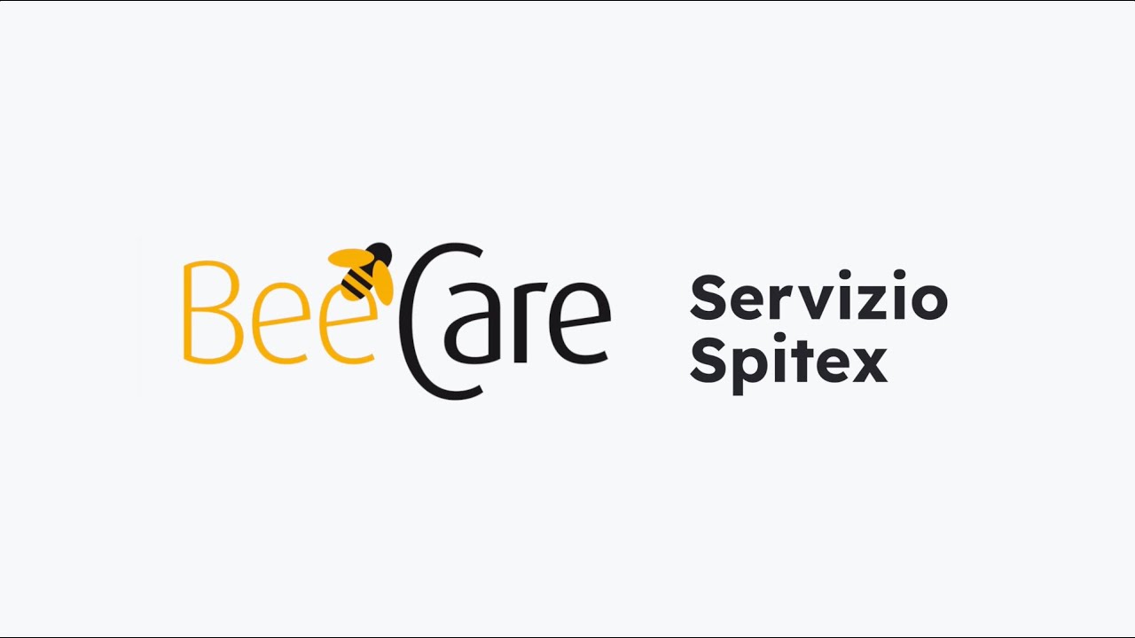 Spitex BeeCare in Ticino – Cure e Assistenza Domiciliare Professionale - Spitex Svizzera